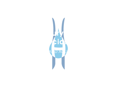 Holland Aquatics Luxury Pools, Spas and Waterscape Specialists